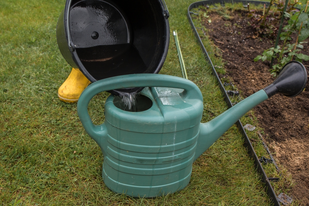 entspanntes wasser in der gießkanne