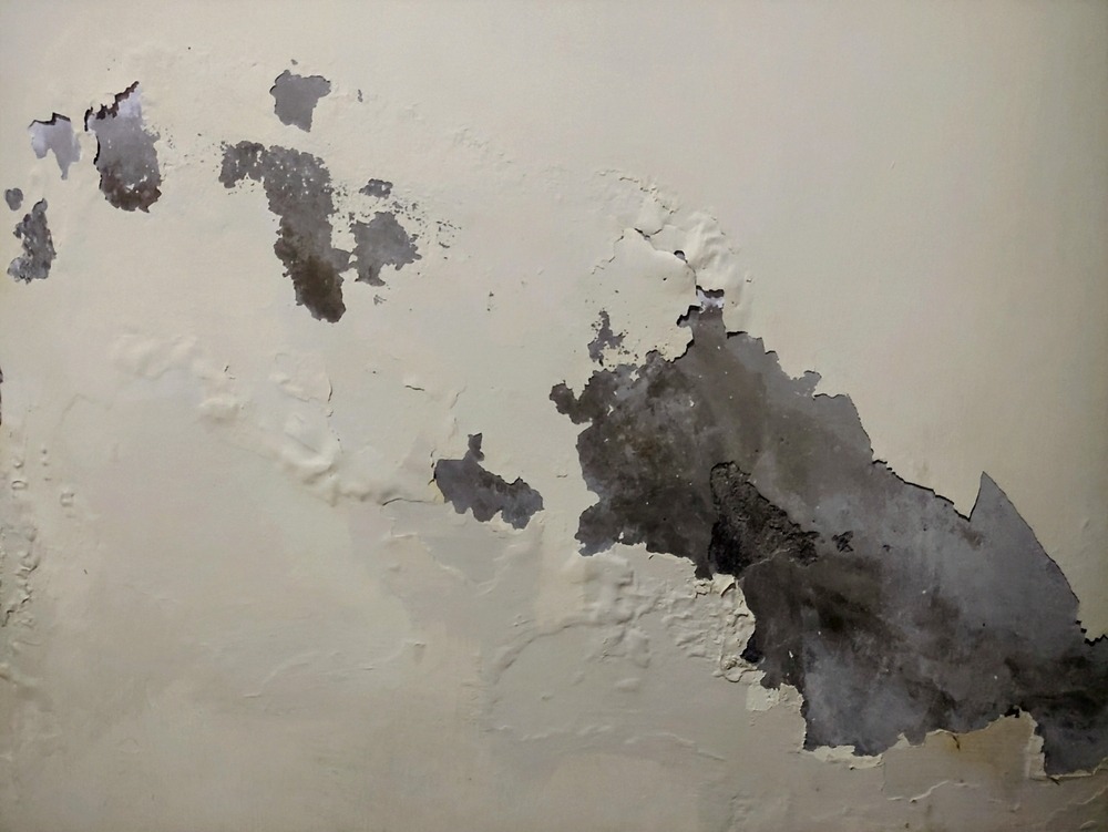 feuchtigkeit in der wand