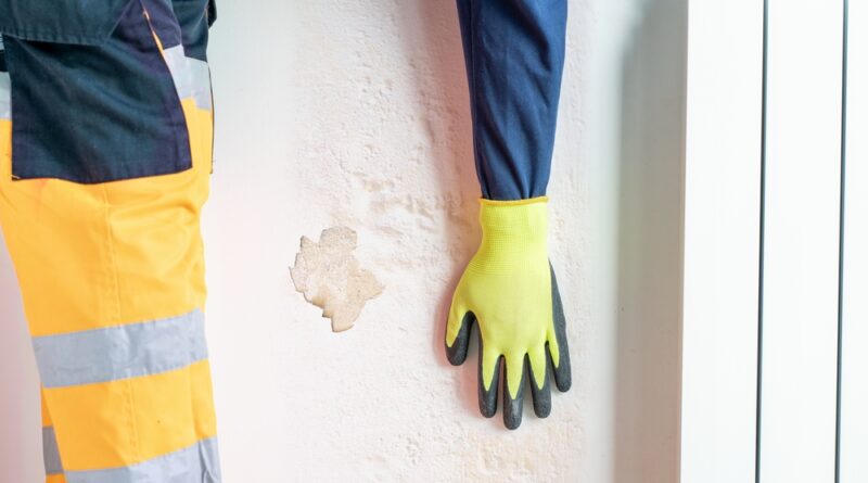 feuchte wand kontrollieren
